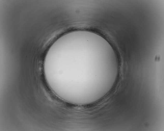 X0000113540115200909181032
