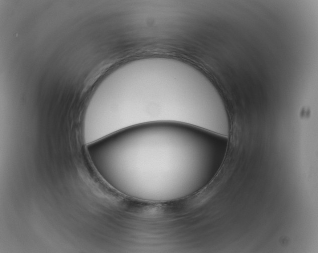 X0000113540116200909181032