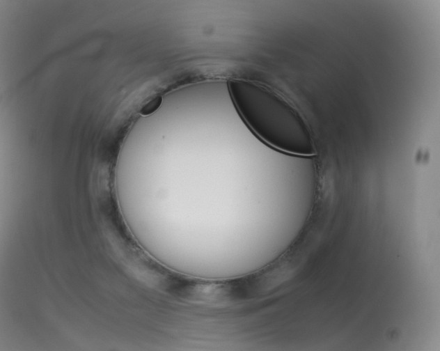 X0000113540117200909181032