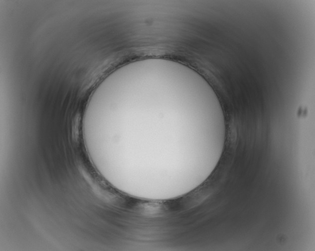 X0000113540118200909181032