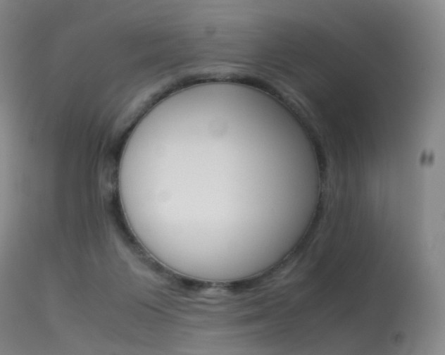 X0000113540119200909181032