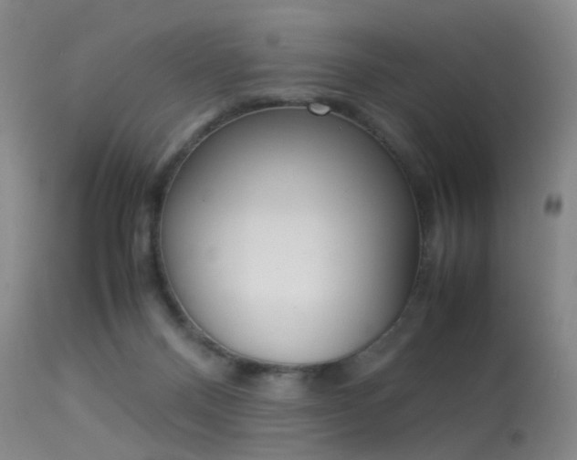 X0000113540120200909181032