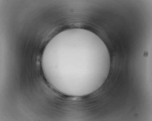 X0000113540122200909181032