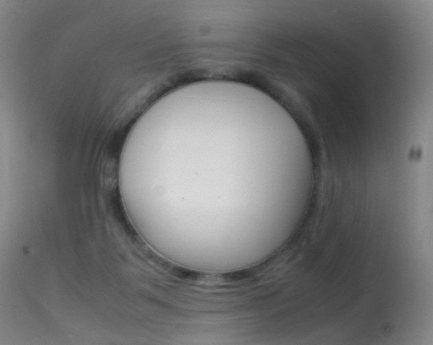 X0000113540123200909181032