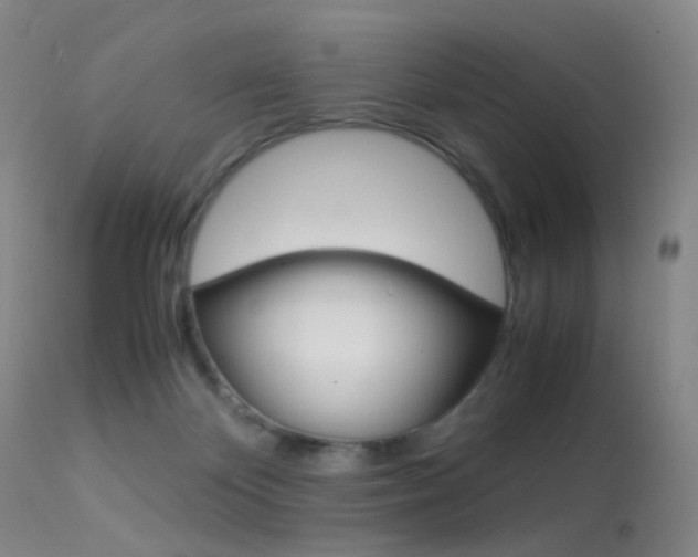 X0000113540124200909181032