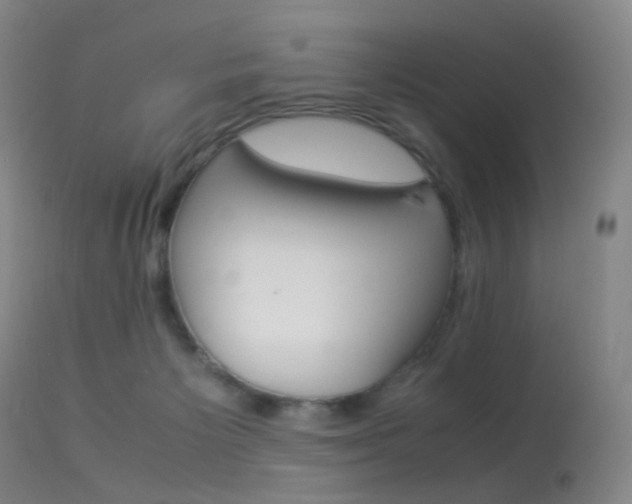 X0000113540125200909181032