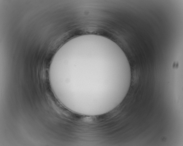 X0000113540126200909181032