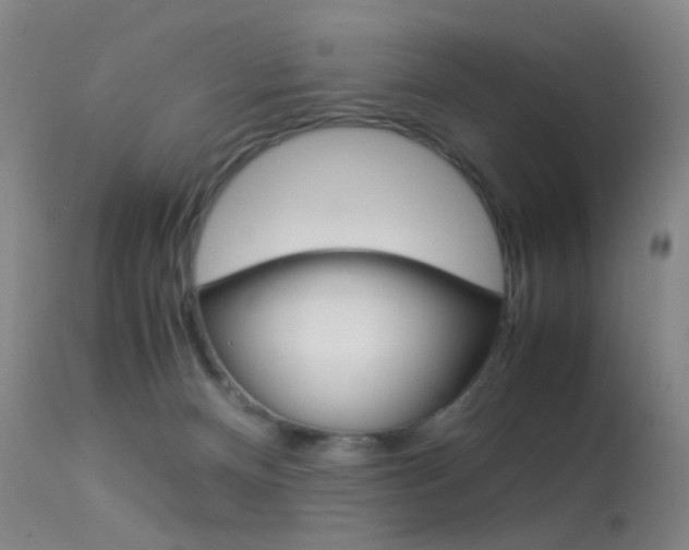 X0000113540128200909181032