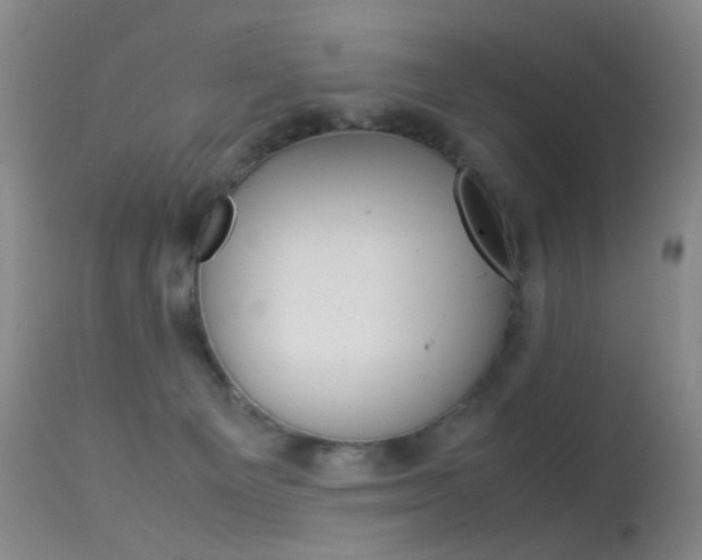 X0000113540129200909181032