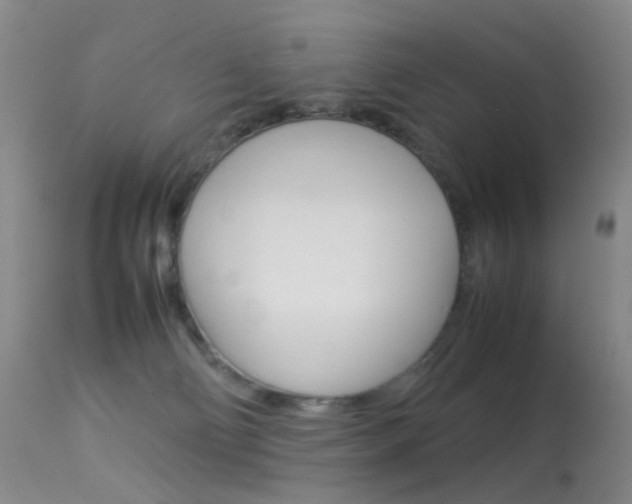 X0000113540130200909181032