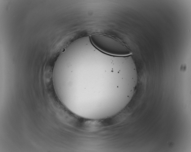 X0000113540133200909181032