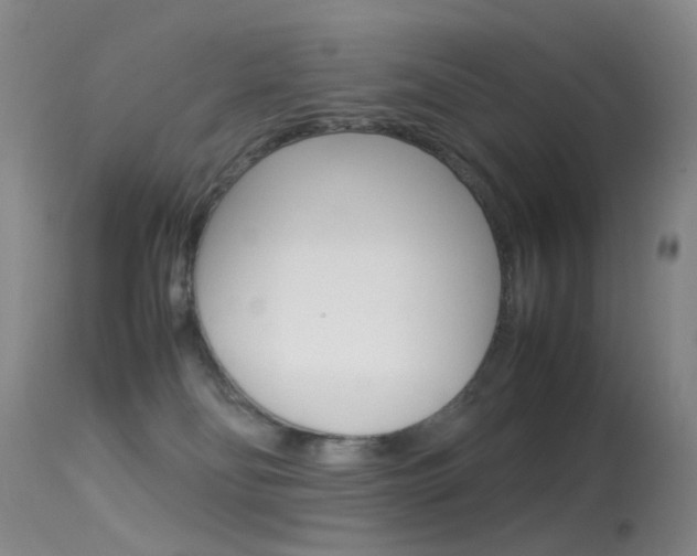 X0000113540134200909181032