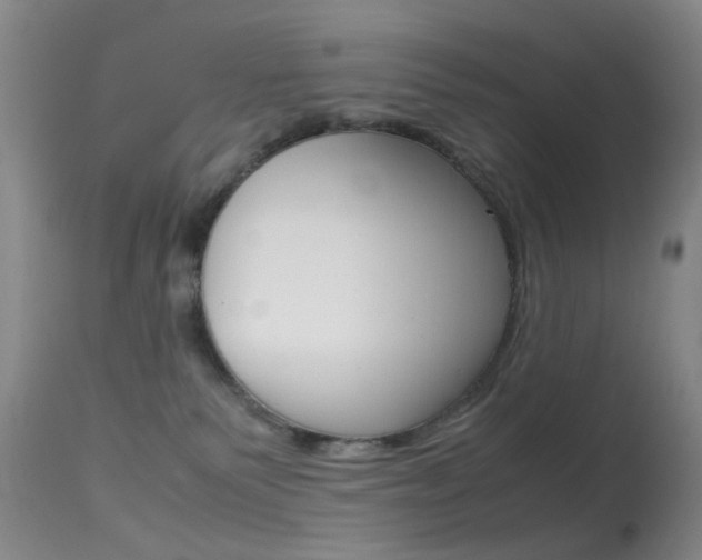 X0000113540135200909181032