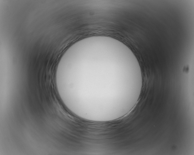 X0000113540136200909181032