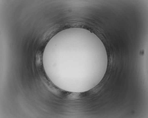 X0000113540138200909181032