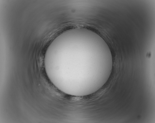 X0000113540139200909181032