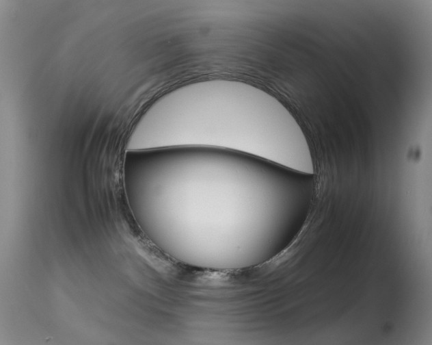 X0000113540140200909181032