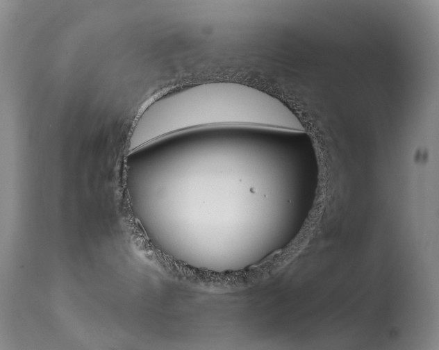 X0000113540144200909181032