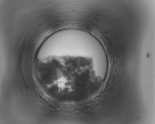 X0000113540145200909181031