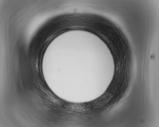 X0000113540146200909181031