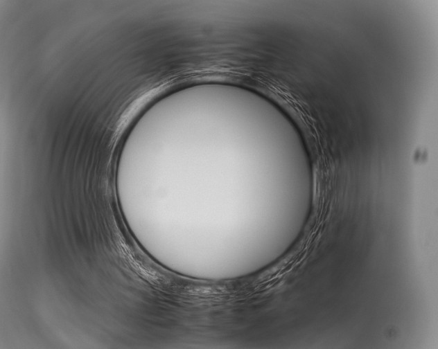 X0000113540147200909181031