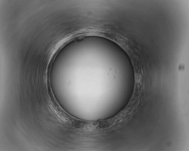 X0000113540148200909181031