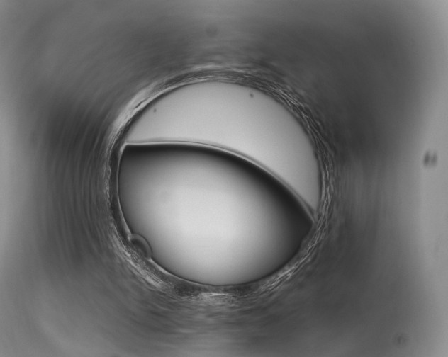 X0000113540150200909181031