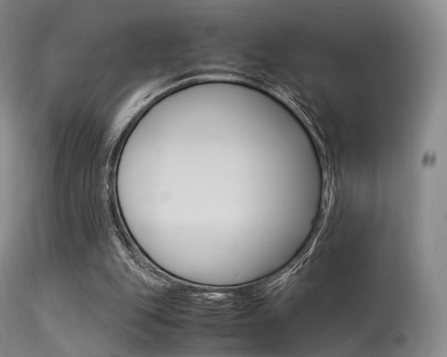 X0000113540151200909181031