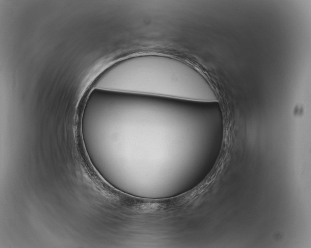 X0000113540152200909181031