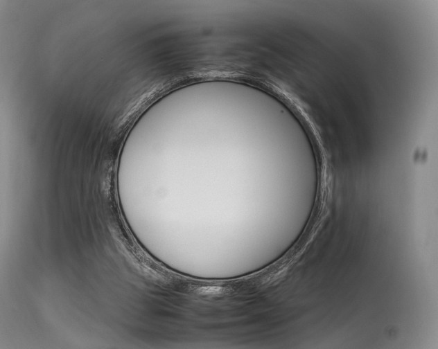 X0000113540153200909181031