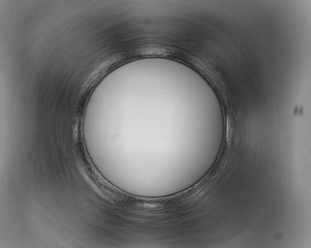 X0000113540157200909181031