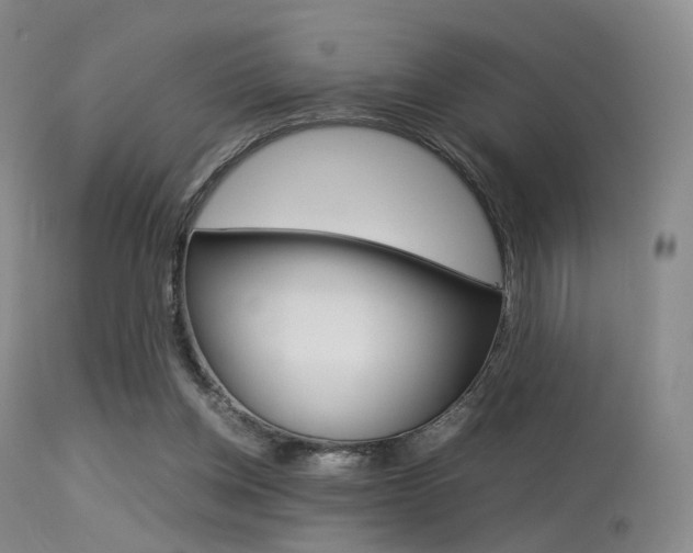X0000113540158200909181031