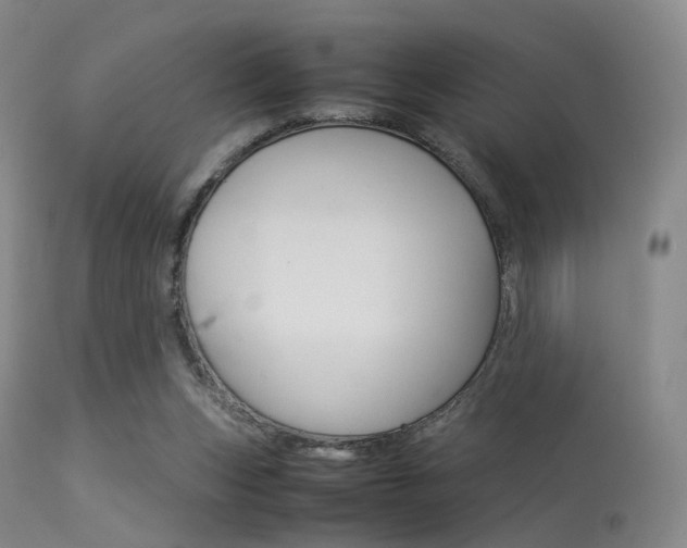 X0000113540159200909181031
