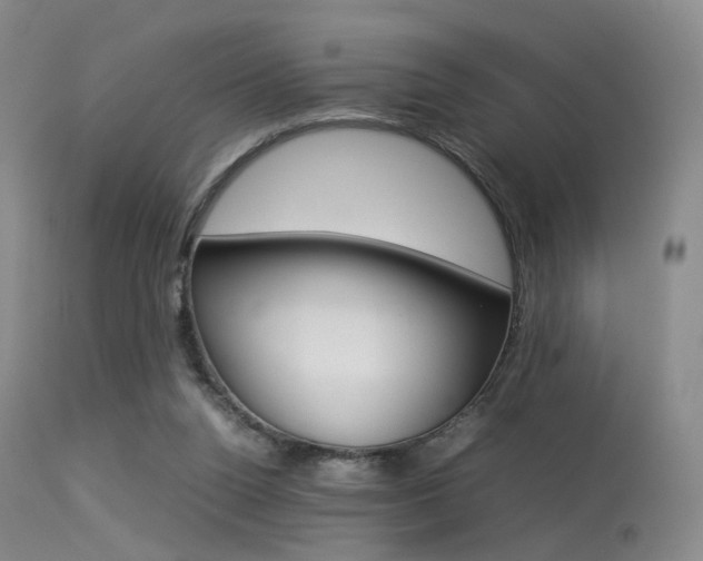 X0000113540160200909181031