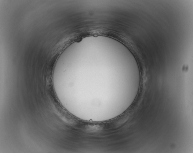 X0000113540161200909181031