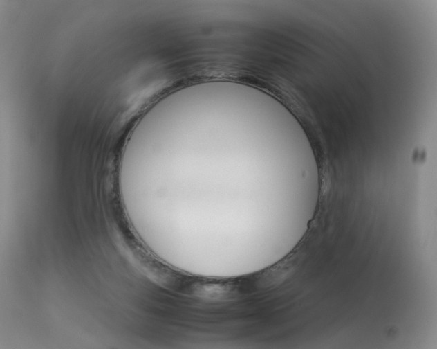 X0000113540163200909181031