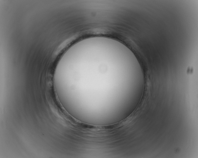X0000113540164200909181031