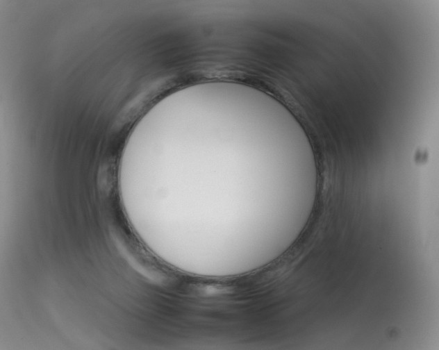 X0000113540165200909181031