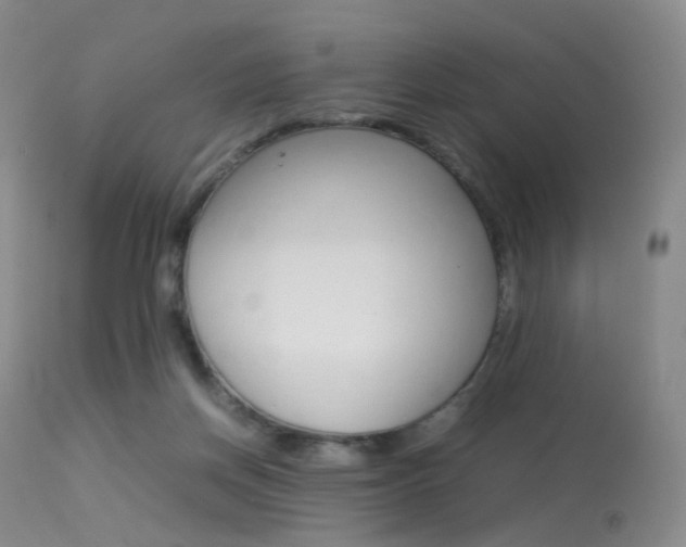 X0000113540166200909181031