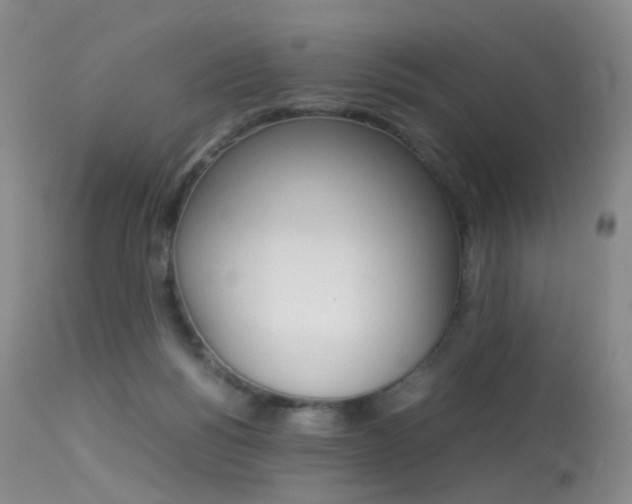X0000113540168200909181031