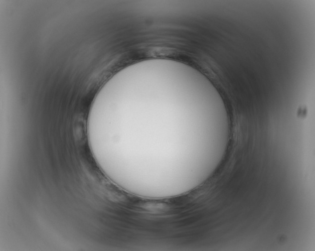 X0000113540169200909181031