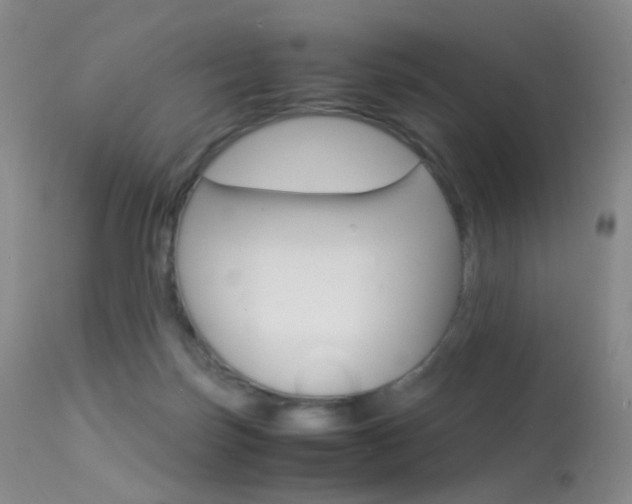 X0000113540171200909181031
