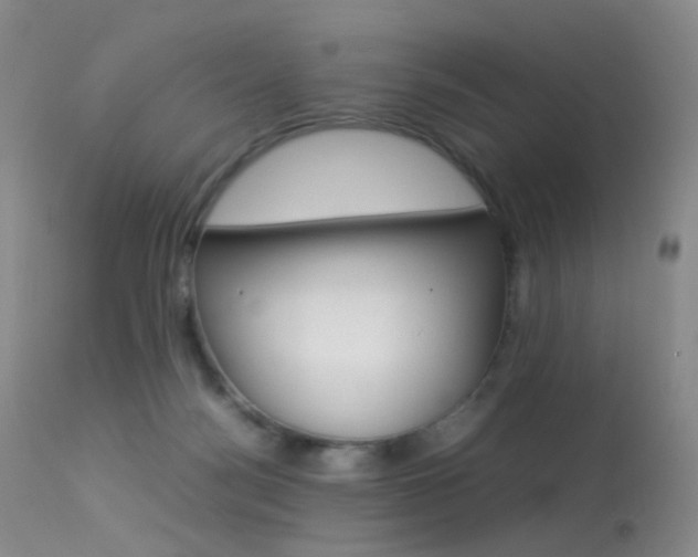 X0000113540172200909181031