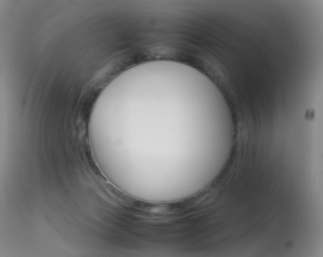X0000113540173200909181031