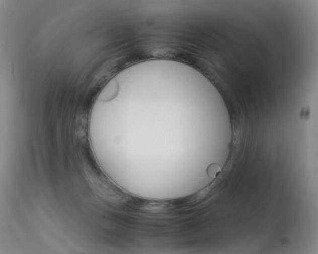 X0000113540175200909181031