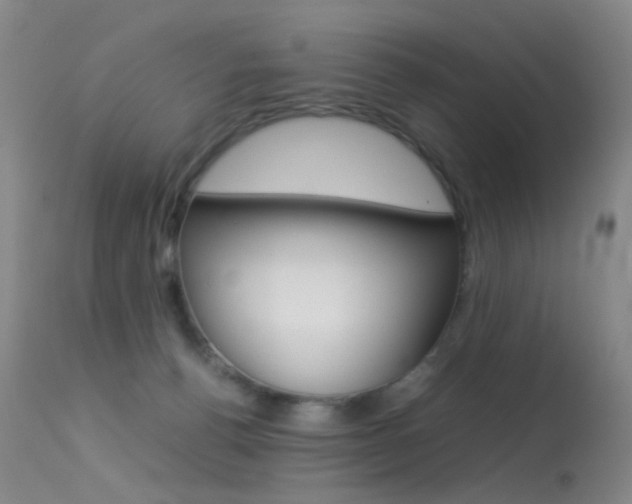 X0000113540176200909181031