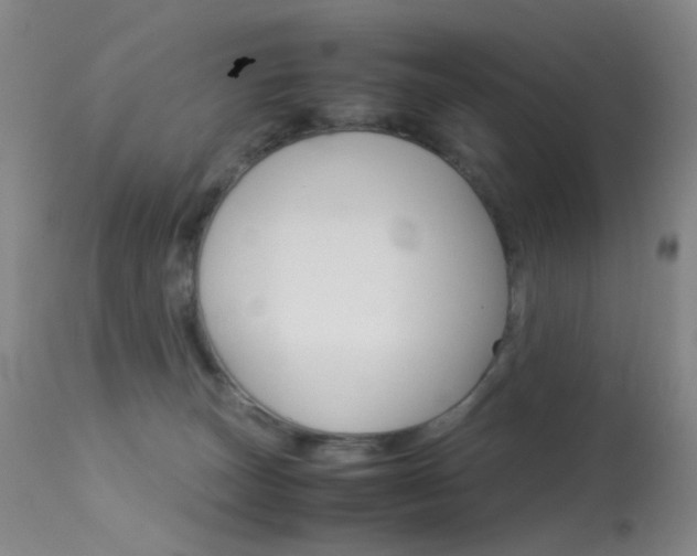 X0000113540179200909181031