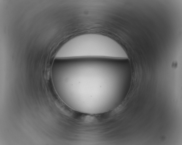 X0000113540180200909181031