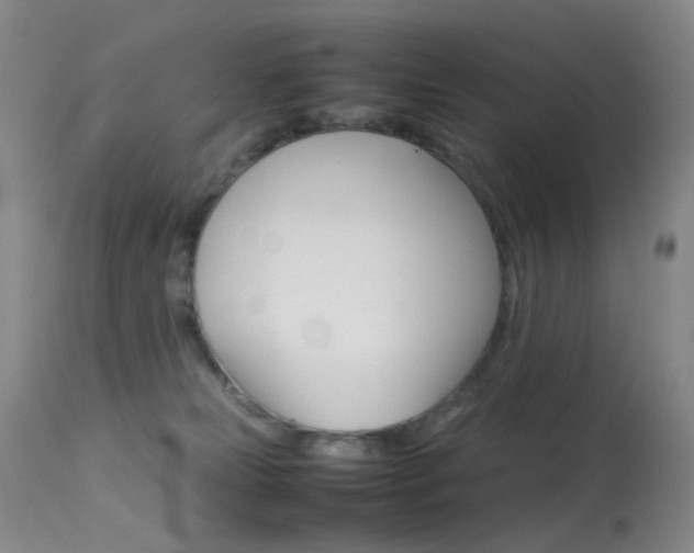 X0000113540181200909181031