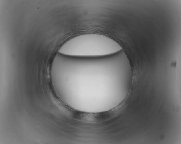 X0000113540182200909181032